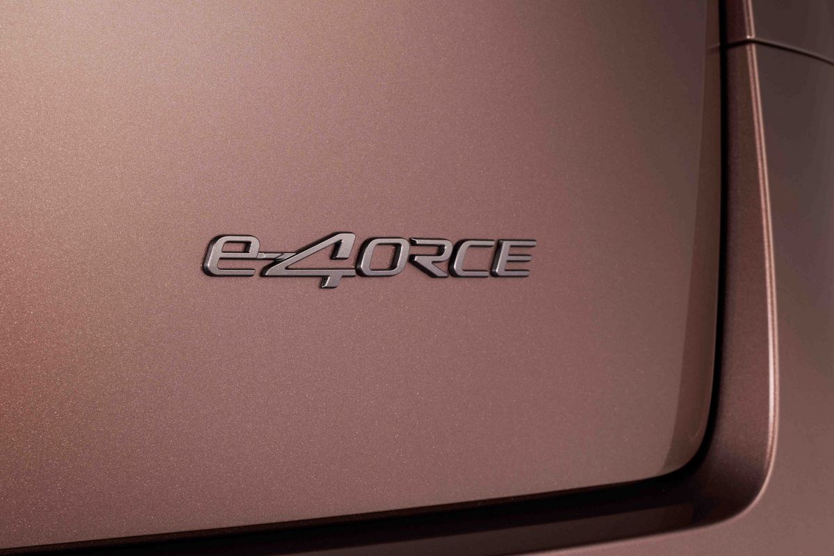 251029-01_Elgrand_12